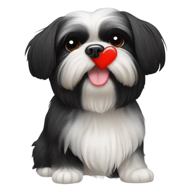 Black shih tzu with a red heart emoji sticker