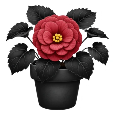 super realistic black begonia sticker