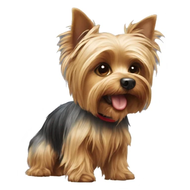 Yorkshire Terrier playing ball sticker