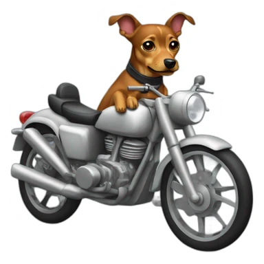 a caramel dog pinscher wearing basket uniform and driving a moto sticker
