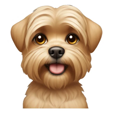 underbite beige shorkie dog halfbody shot with brown ears sticker