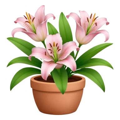 light pink lily flowers in a clay pot sticker