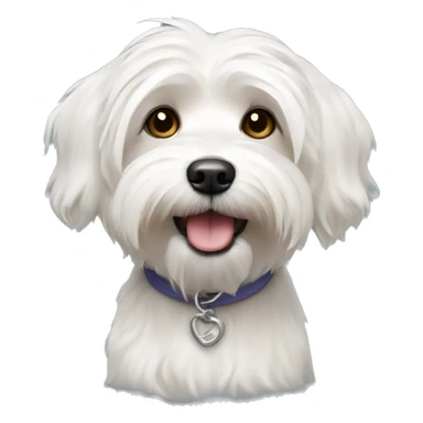 White Havanese dog sticker