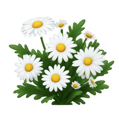 White daisies and chrysanthemums  sticker