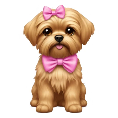 golden shorkie wearing pink bow sticker