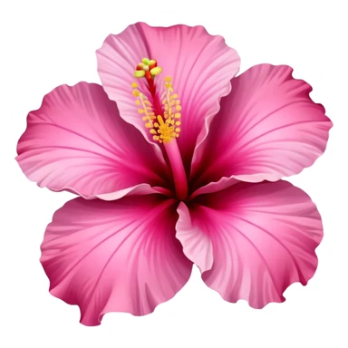 hibiscus flower pink sticker