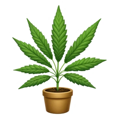 cannabis sticker