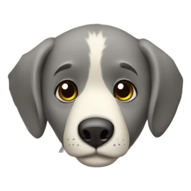 ursinho coala fofinho sticker