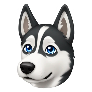 Black and white Siberian husky with blue eyes and a white fleur de lis mark on forehead  sticker