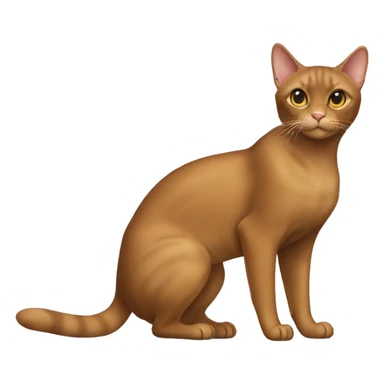 havana brown Cat Full Body sticker