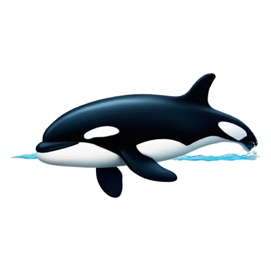 killer whale sticker