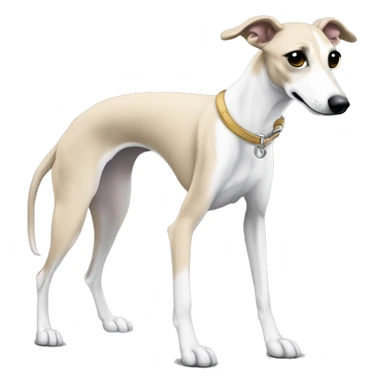 a beige whippet full body with his left foot white color up up and a leash going out of frame, with a dark snout, black and white mouth patchy and black angel wing like eyes sticker