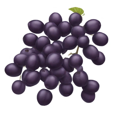 Elderberry sticker