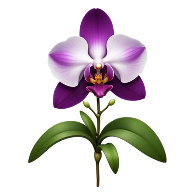 Cinematic Realistic Orchid Emoji, Exotic and elegant, with intricate, velvety petals in deep purple and white, forming a delicate and symmetrical blossom. The slender green stem holds the flower high, while surrounding leaves add lush contrast. Soft glowing outline, capturing the essence of rare beauty and sophistication in a captivating orchid. sticker