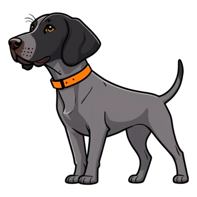 black german shorthair pointer with a orange collar hunting sticker