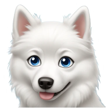 White pomsky dog with blue eyes sticker