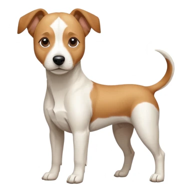a full body facing front on of a buff white beagle cross jack russell terrier looking dog the size of a kelpie with light brown long ears resting on its face and a light brown patch above one eye and a large snout. the rest of the dog is completely white.  sticker