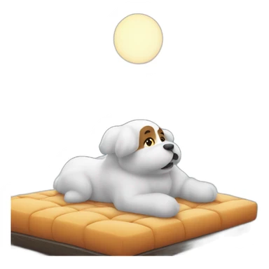 couché du soleil avec neige  sticker