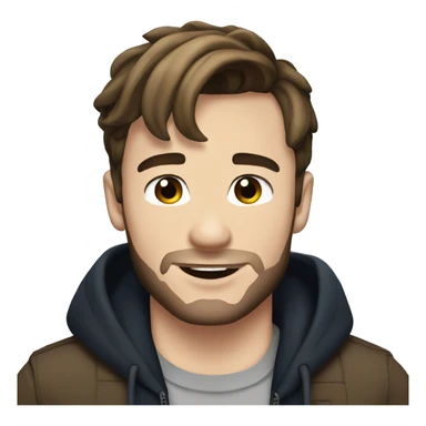 liam payne  sticker