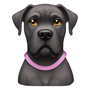 A Cane Corso with scars and band-aids. sticker
