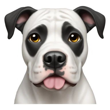 Black and white pit bull dog sticker