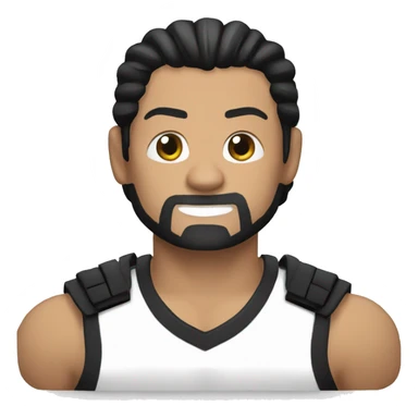 Roman reigns sign sticker