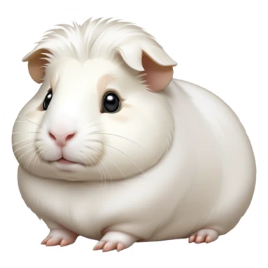 Cinematic Noble White Guinea Pig Portrait Emoji, Poised and regal, with a compact, chubby build and a pristine, well-groomed pure white fur, deep-set soulful dark eyes, Simplified yet sharp and sophisticated features, highly detailed, glowing with a soft, dignified glow, high shine, intelligent and sweet, stylized with an air of gentle purity, focused and attentive, soft glowing outline, capturing the essence of a watchful and confident little companion, so majestic it feels as though it could scurry out of the screen with effortless authority! sticker