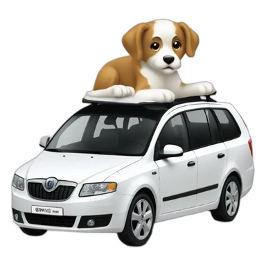 Octavia combi 2008 white sticker