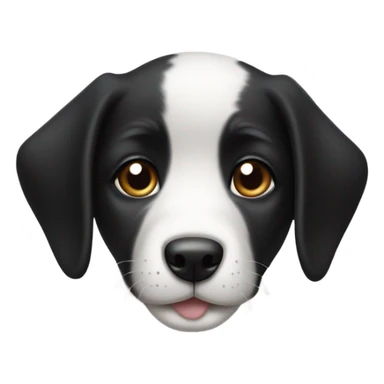 black and white puppy with white nose sticker