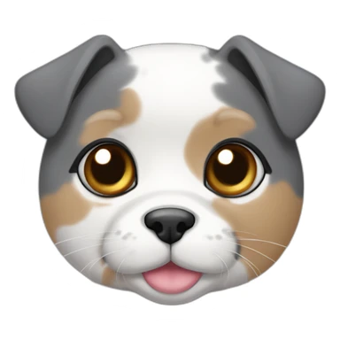 senior round diluted calico, white chin, black and pink nose, grey ears, grey and white sticker