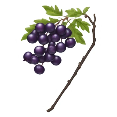  elderberry wand  sticker