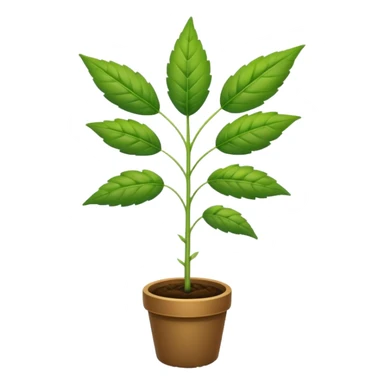 Weed plant sticker