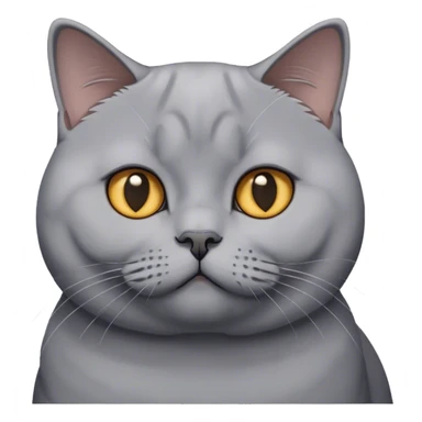 british shorthair cat sticker