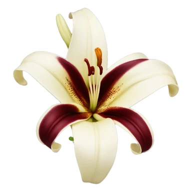 realistic cream and burgundy lily sticker