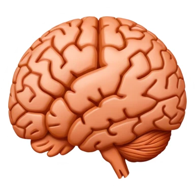 Terracotta anatomy brain sticker