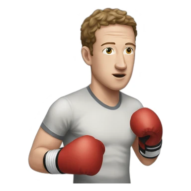 Zuckerberg boxing sticker