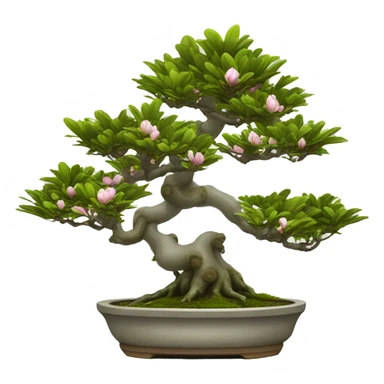 Pot magnolia bonsai sticker