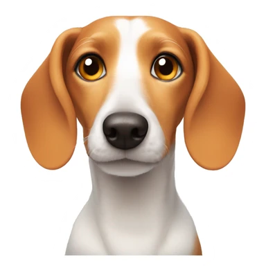 White dachshund with orange fur around her eyes and ears like a beagle  sticker