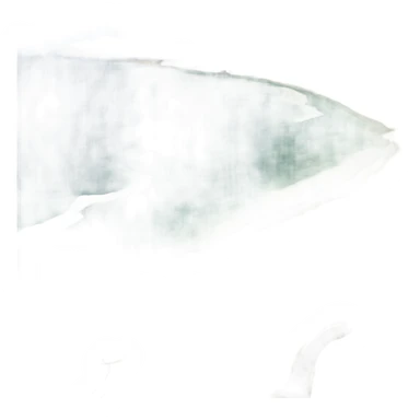 pacific coast sticker