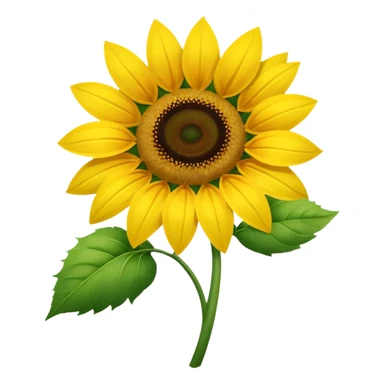 graduation flower sticker