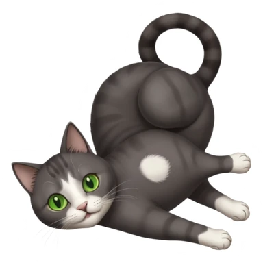 dark grey cat with green eyes, white toes/paws and white patch on her chest playfully rolling upside down sticker