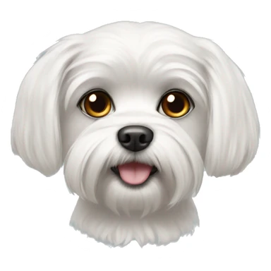 Maltese dog with dark eyes sticker