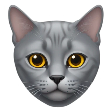 grey british cat with amber eyes sticker