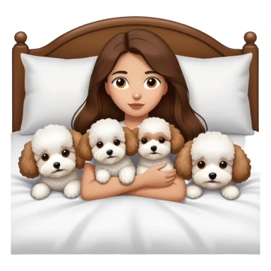 Olive skin girl with long brown hair in bed with 3 WHTE bichon frise's sticker