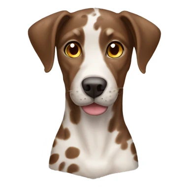 brown and white Catahoula leopard dog sticker