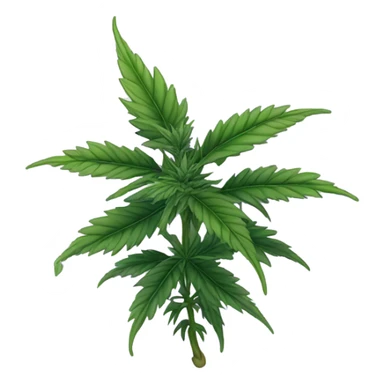 Purple Marijuana plant  sticker