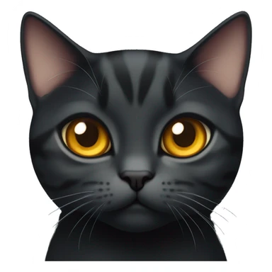 a pure black cute American shorthair cat with amber color eyes sticker