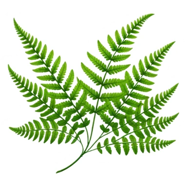 Fern leave sticker