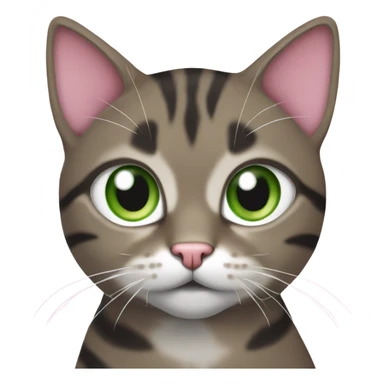 Brown black white and grey tabby Cat with green eyes and pink nose sticker
