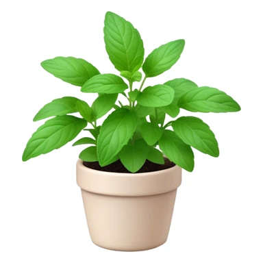 Cinematic Realistic Mint Emoji, Fresh and lively, with deep green leaves covered in tiny veins, emanating a cool, refreshing aroma. The plant’s soft, rounded edges sway gently in the breeze, inviting calm and relaxation. Soft glowing outline, capturing the essence of freshness and cooling fragrance in a fragrant mint plant! sticker